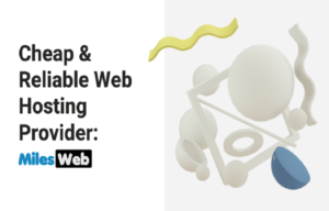 Hosting Provider